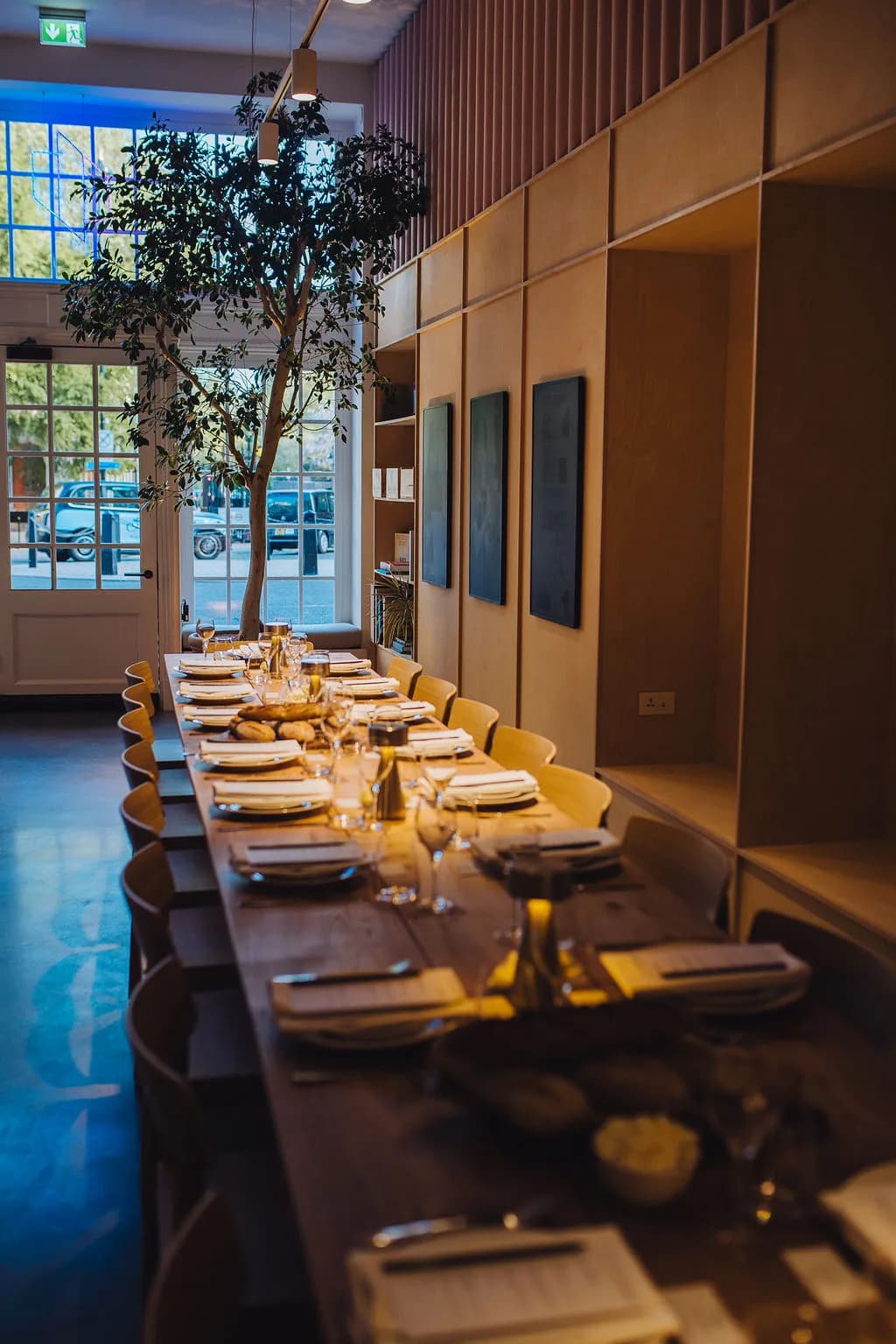 The Clubhouse, long dining table beneath the olive tree
