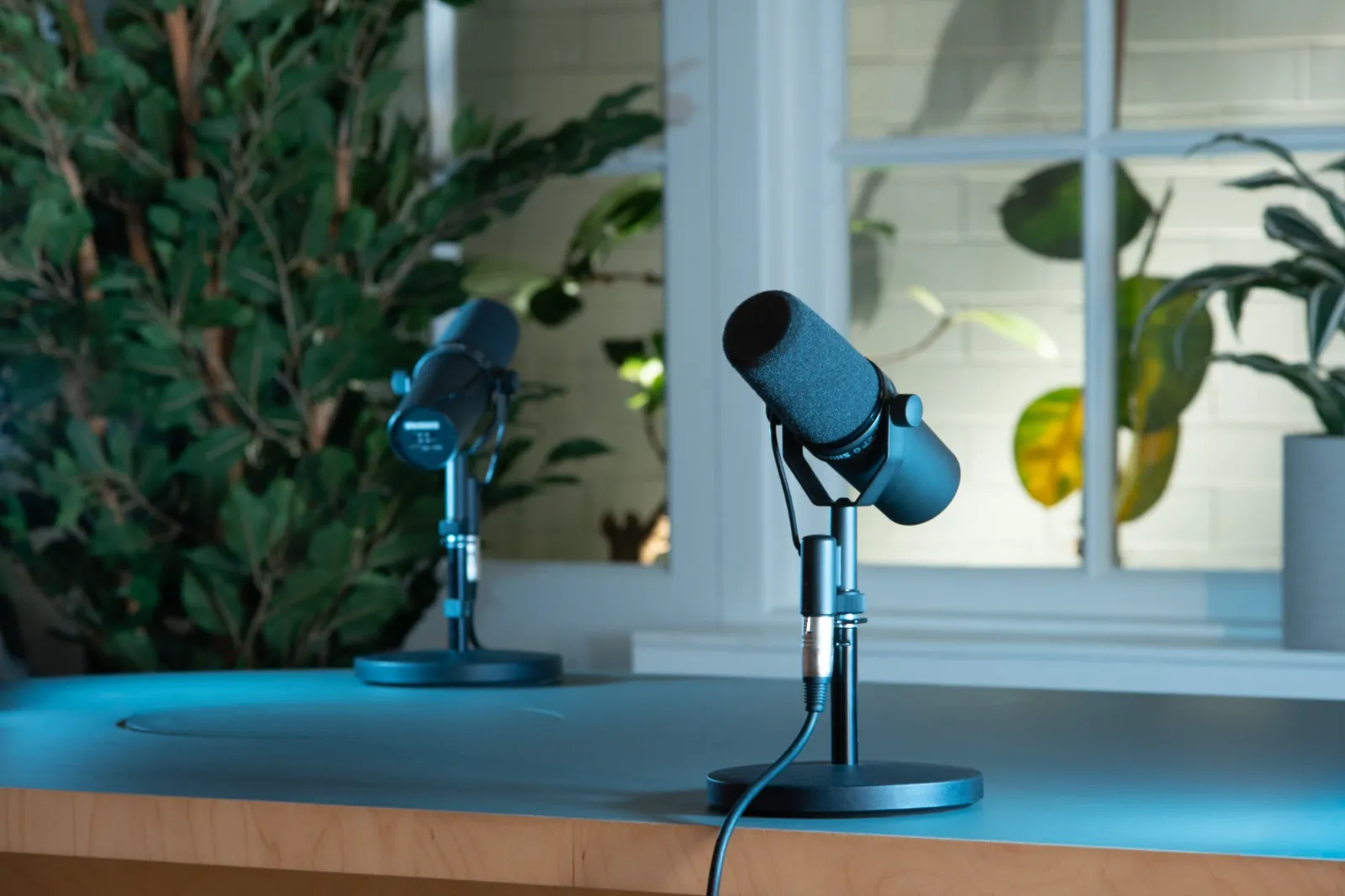 Microphones on the studio desk at dusk